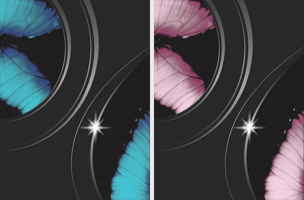 mariposa design 2