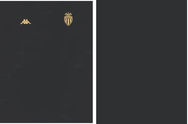 monaco 23 24 design