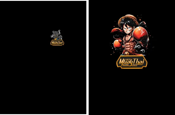 monkey d luffy box