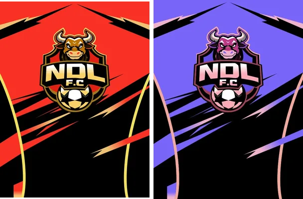 ndl fc jersey