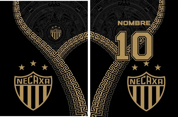 necaxa concept culture