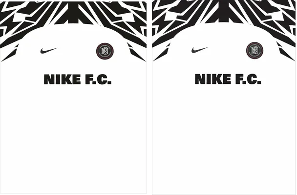 nike authentique fc