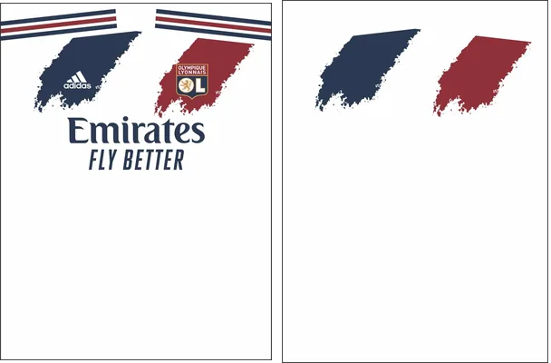 olympique lyonnais grunge concept