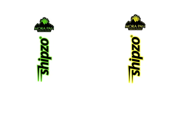 padel center design