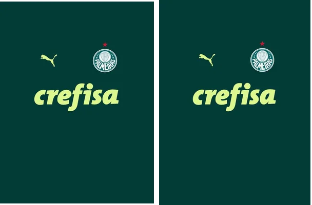 palmeiras 2020 21 entrenamiento vector free download