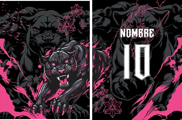pantera pink interclasse concept