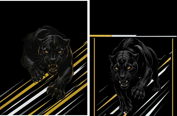 panther sport