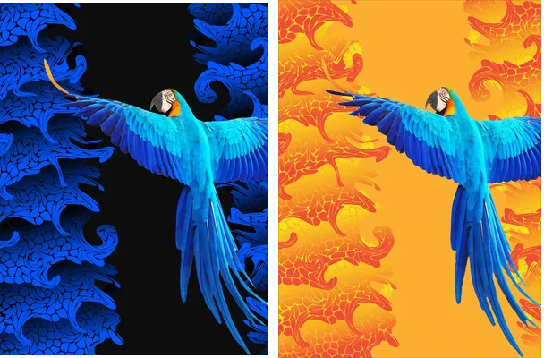 parrot pattern 2023 concept
