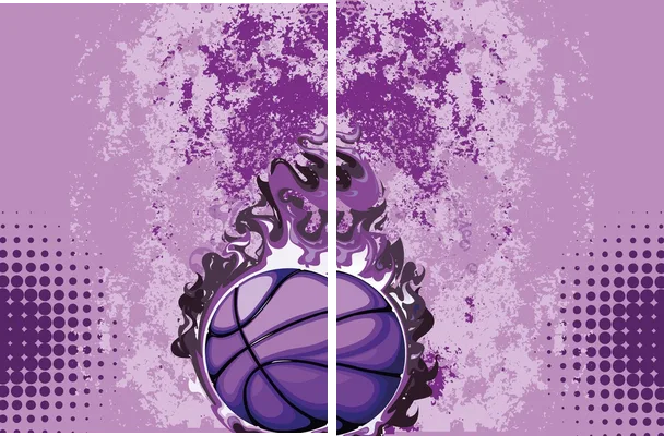 pattern basket sports flama