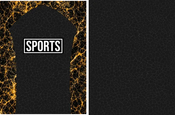 pattern sports absract dorado