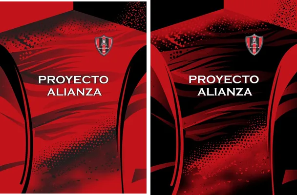 proyecto alianza