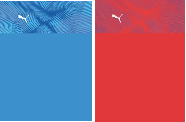 puma texture