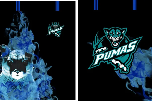 pumas flame blue concept