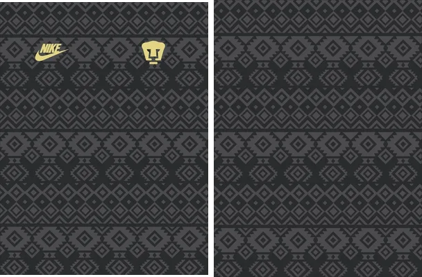 pumas unam concept