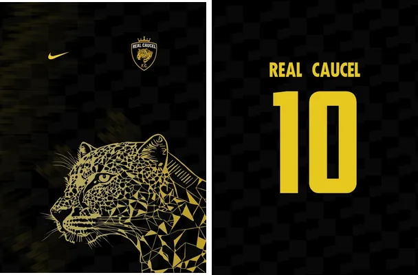 real caucel concept