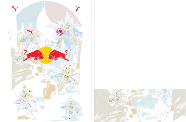 red bull salzburg home clube world cup 2025