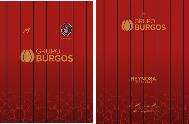 reynosa red concepto
