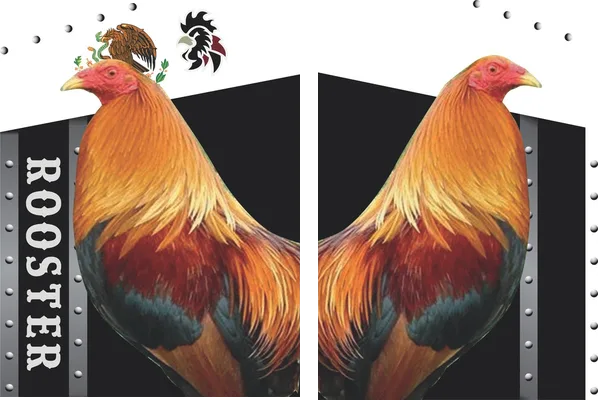 rooster design mexico