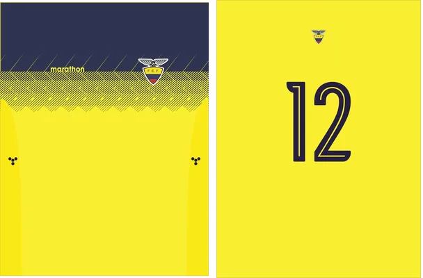 seleccion ecuador copa america 2019 20