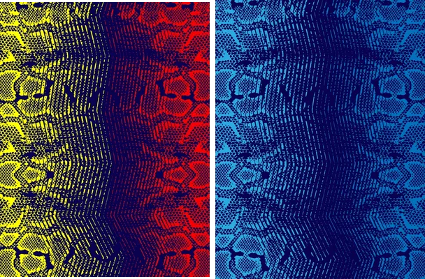 serpiente tricolor