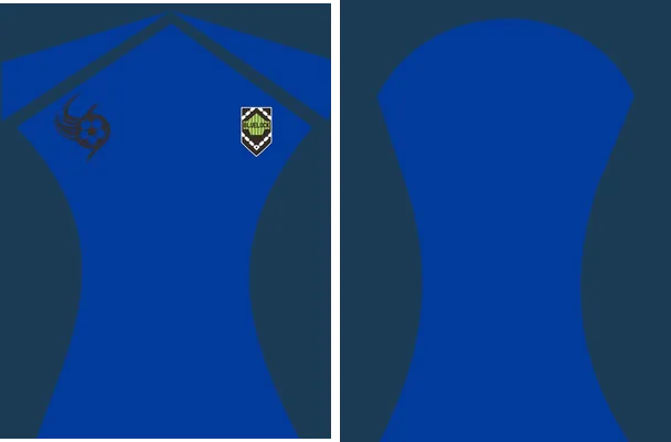 sports blue 4