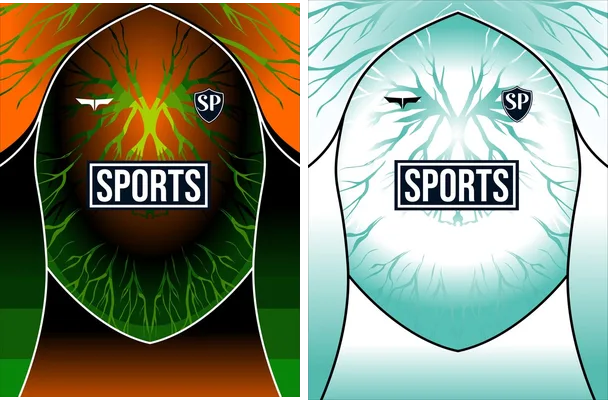 sports degrades noise ia