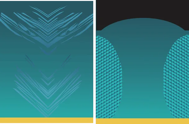 sports lineal abstract 2