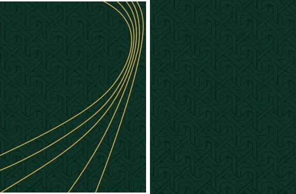 sports lineal geometric