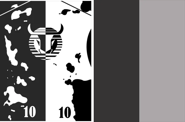 sports manchas design
