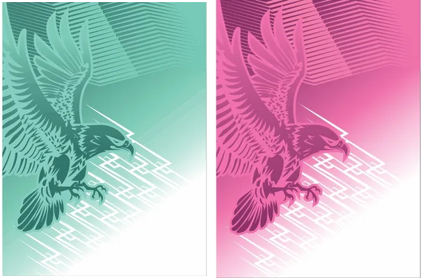 sports pattern aguila