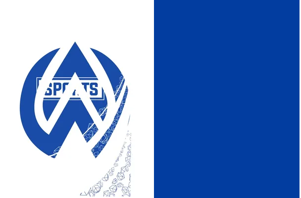 sports pattern white diamond
