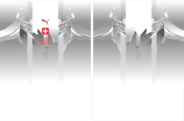 suiza fc concept degrade 2024