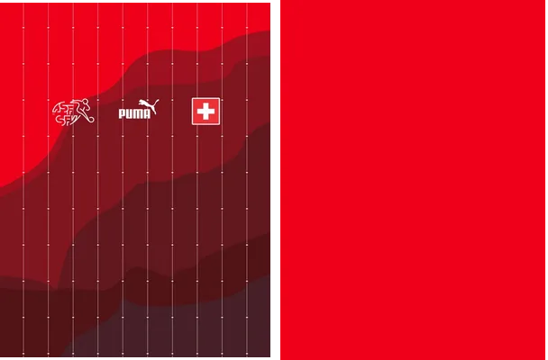 suiza local 2023 2024