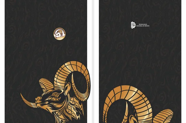 t n mexico design