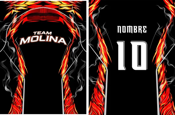 team molina sports concept