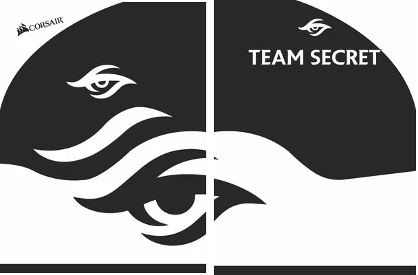 team secret 2020