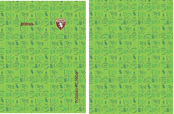 torino fc 21 22