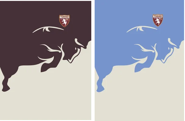 torino fc design
