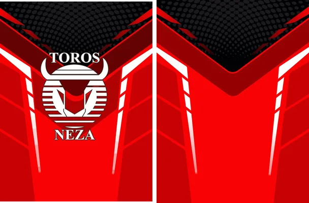 toros neza