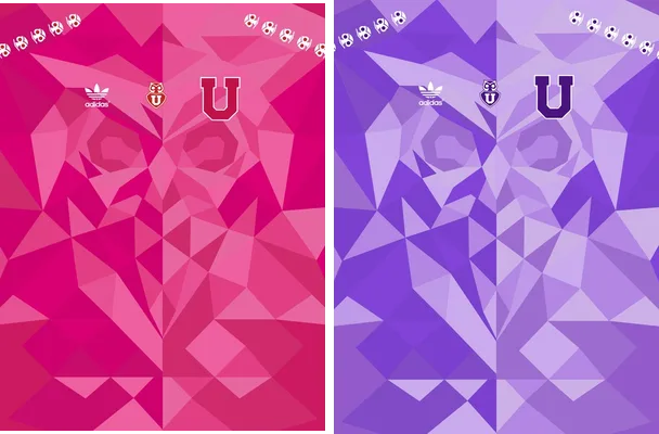 universidad de chile concept