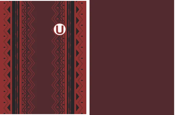 universitario peru alterna 23