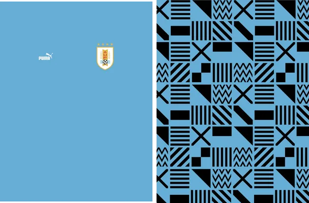 uruguay 2023 24 home