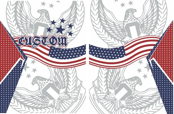 usa design