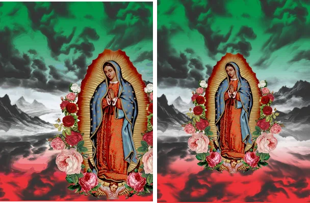 virgen guadalupana