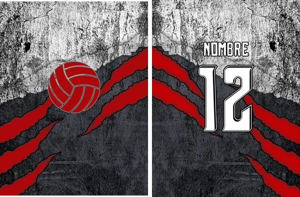 voley designs grunge concept