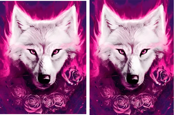 wolf flame rose concept